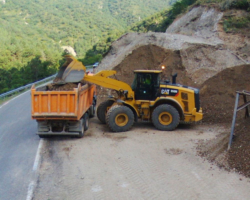 CAT950